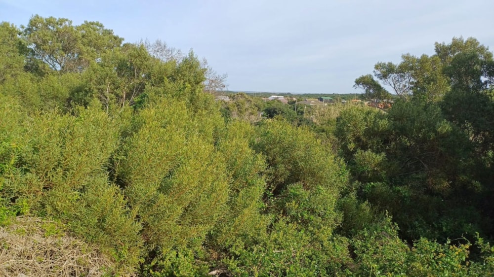 Residential vacant land for sale in Paradise Beach, Jeffreys Bay - 1JF1662101