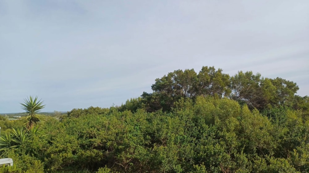 Residential vacant land for sale in Paradise Beach, Jeffreys Bay - 1JF1662101 Residential vacant land for sale in Paradise Beach, Jeffreys Bay - 1JF1662101