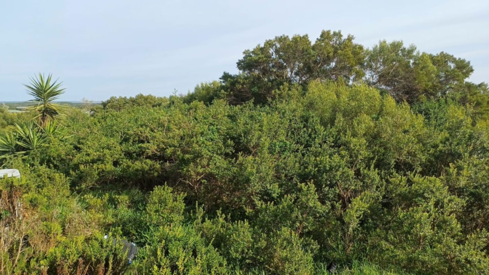 Residential vacant land for sale in Paradise Beach, Jeffreys Bay - 1JF1662101