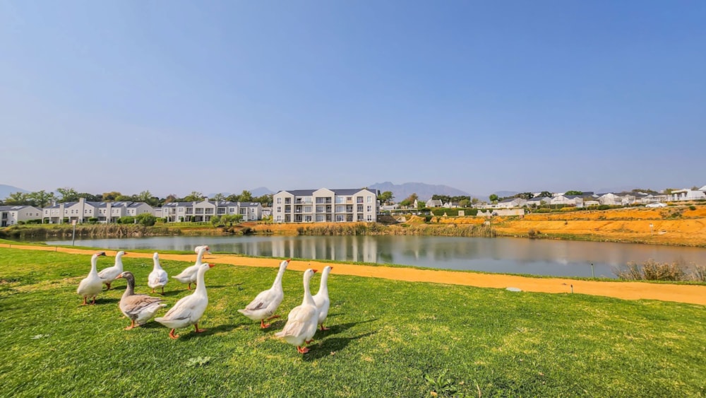 Apartment to rent in Wellington Central - TKL1541879 Apartment to rent in Wellington Central - TKL1541879