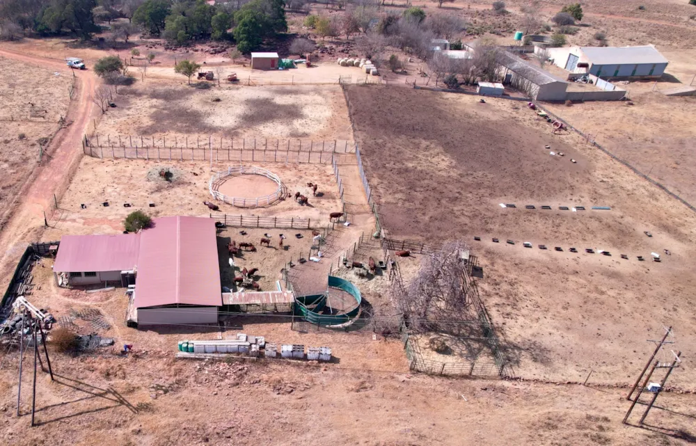 Breeding farm for sale in Grootfontein - PRN1666889 Breeding farm for sale in Grootfontein - PRN1666889
