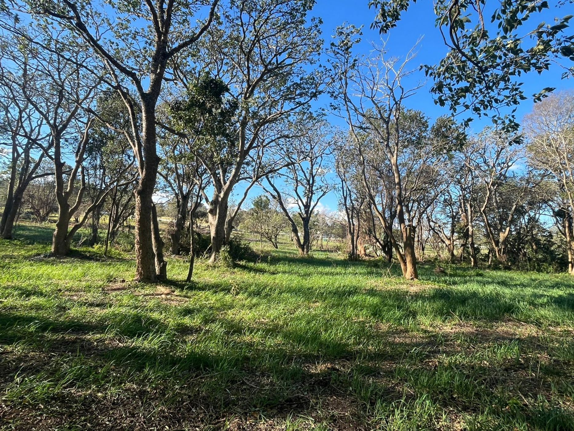 Vacant land for sale in Bathurst - 1PF1579384