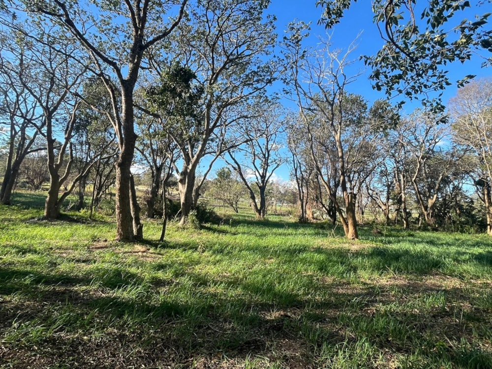 Vacant land for sale in Bathurst - 1PF1579384 Vacant land for sale in Bathurst - 1PF1579384