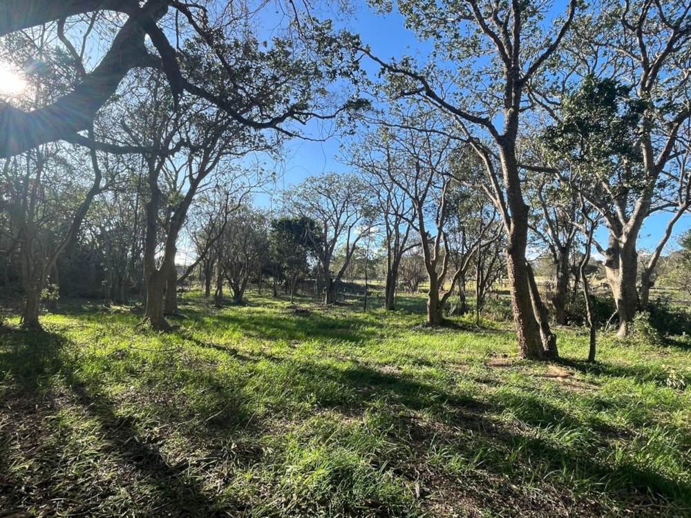 Vacant land for sale in Bathurst - 1PF1579384 Vacant land for sale in Bathurst - 1PF1579384