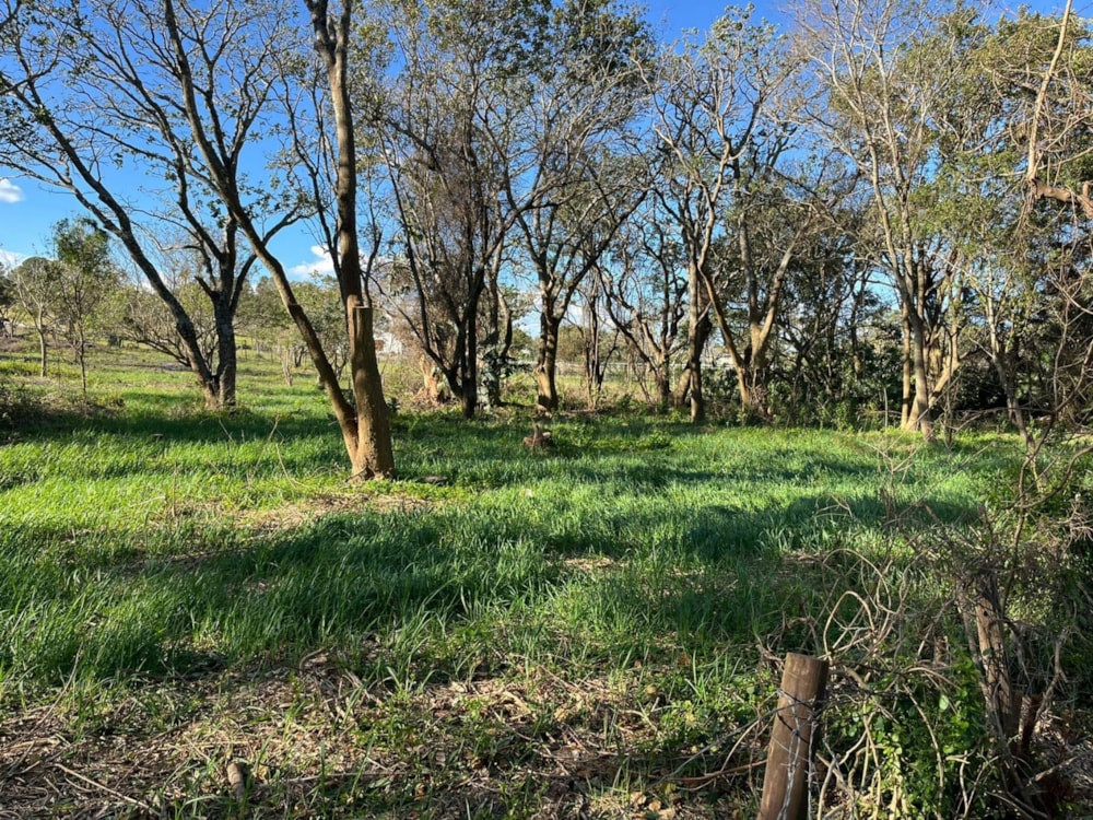 Vacant land for sale in Bathurst - 1PF1579384 Vacant land for sale in Bathurst - 1PF1579384