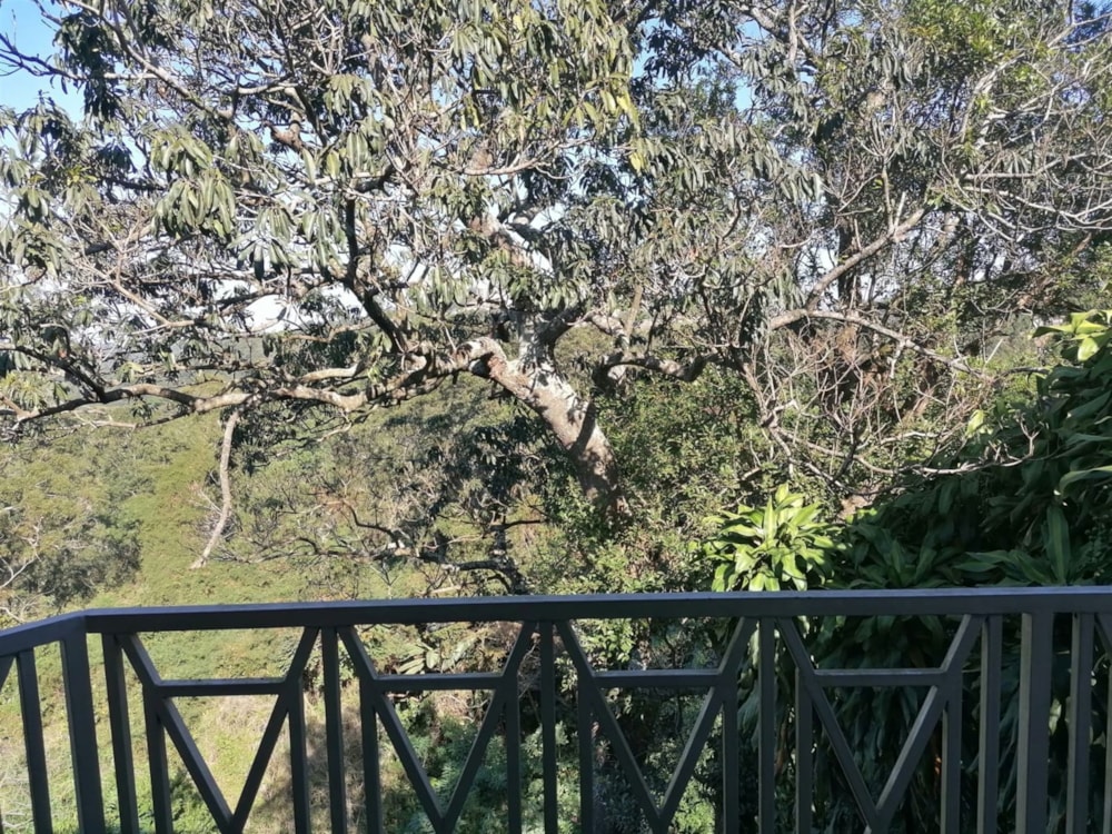 House let in Cowies Hill - 1WP1665415 House let in Cowies Hill - 1WP1665415