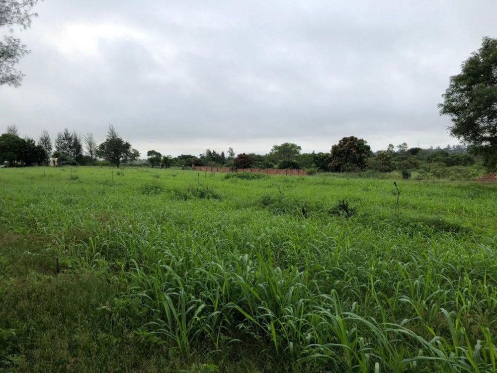 Livestock farm for sale in Boane, Mozambique - 3MQ1580918