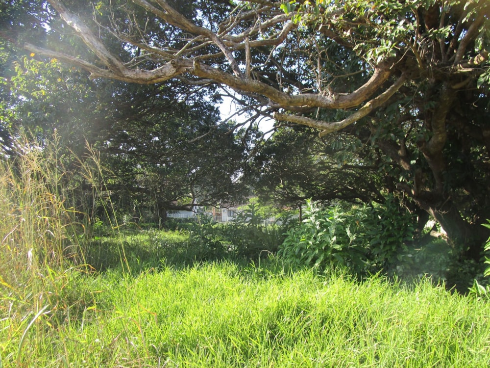 Residential vacant land sold in Pennington - 1SI1665182