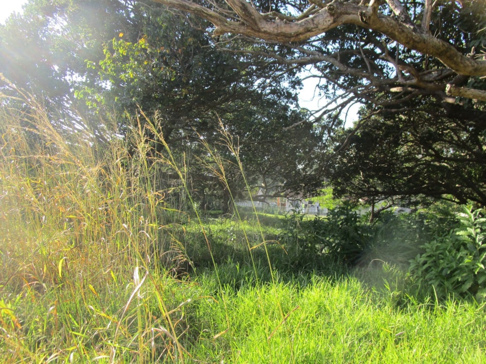 Residential vacant land sold in Pennington - 1SI1665182