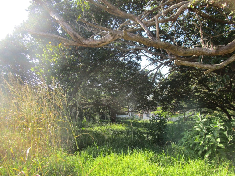 Residential vacant land sold in Pennington - 1SI1665182