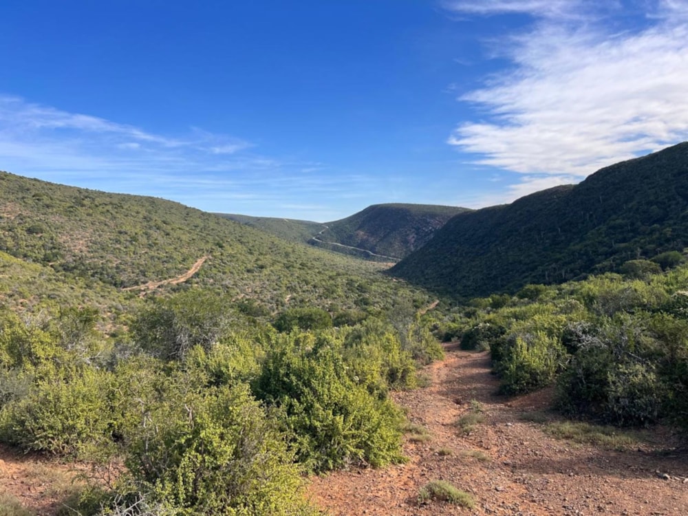 Game farm for sale in Grahamstown (Makhanda) - 1GC1600916