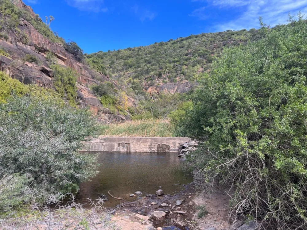 Game farm for sale in Grahamstown (Makhanda) - 1GC1600916