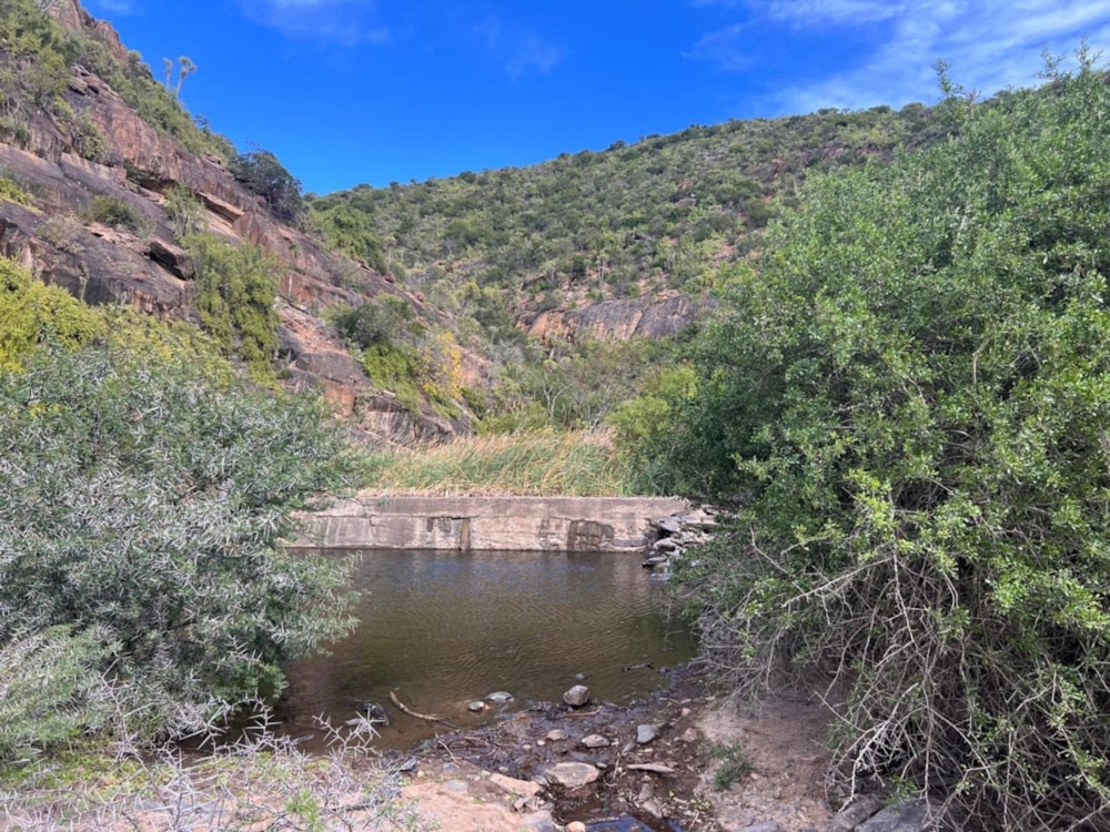 Game farm for sale in Grahamstown (Makhanda) - 1GC1600916