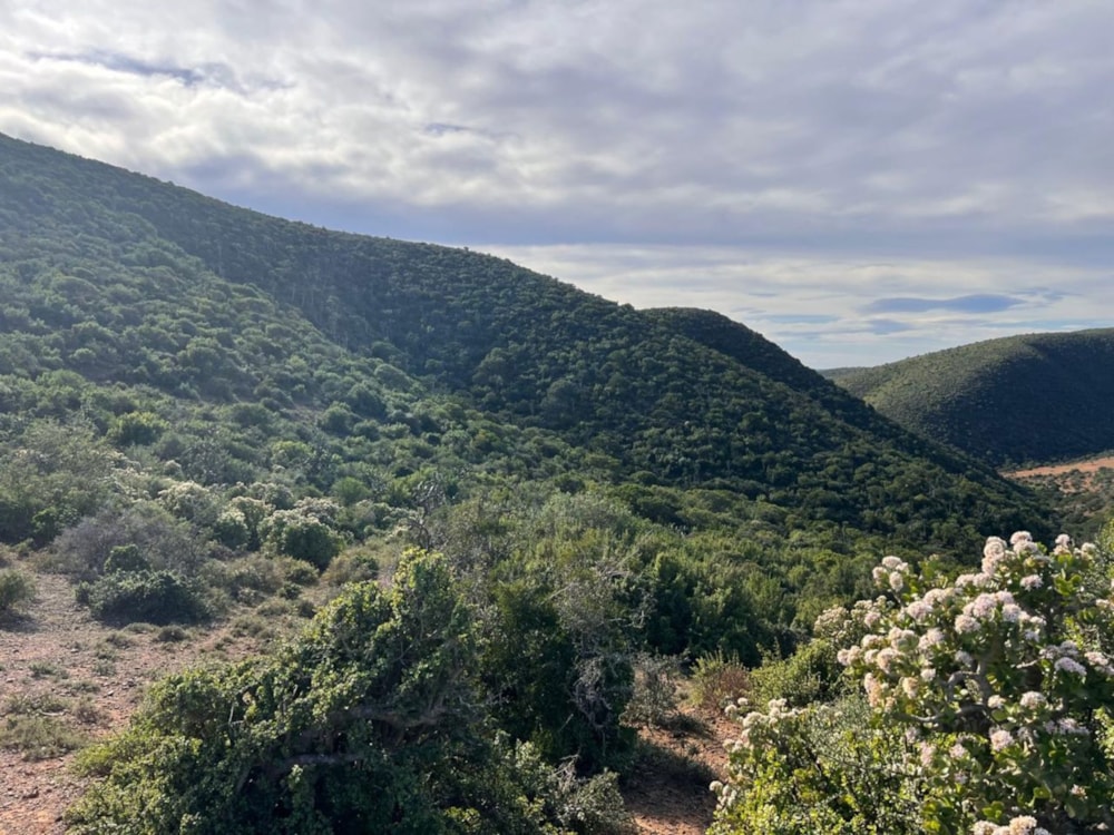 Game farm for sale in Grahamstown (Makhanda) - 1GC1600916