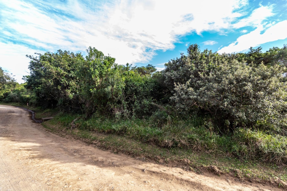 Residential vacant land for sale in Gqunube Green Ecovillage - 1EZ1699979 Residential vacant land for sale in Gqunube Green Ecovillage - 1EZ1699979