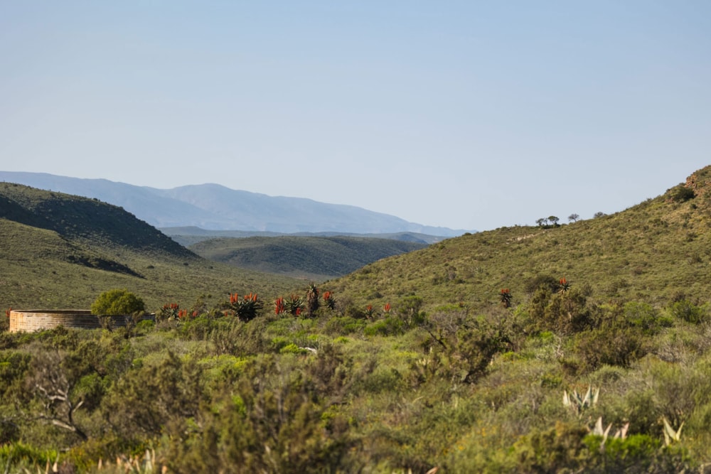 Lifestyle property sold in Riversdale Rural - 1OU1667130 Lifestyle property sold in Riversdale Rural - 1OU1667130