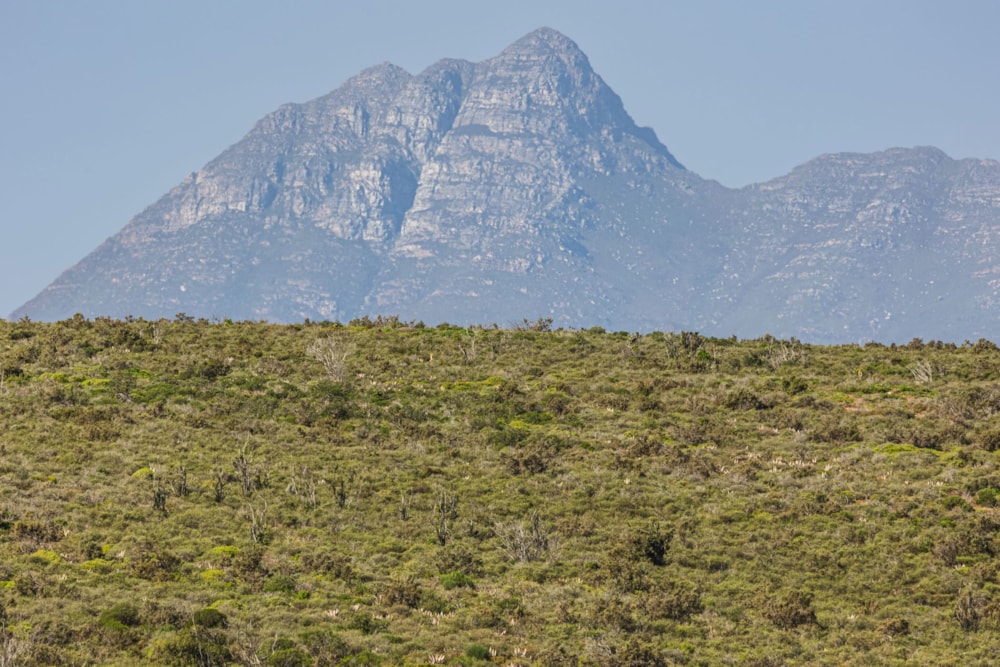 Lifestyle property sold in Riversdale Rural - 1OU1667130 Lifestyle property sold in Riversdale Rural - 1OU1667130