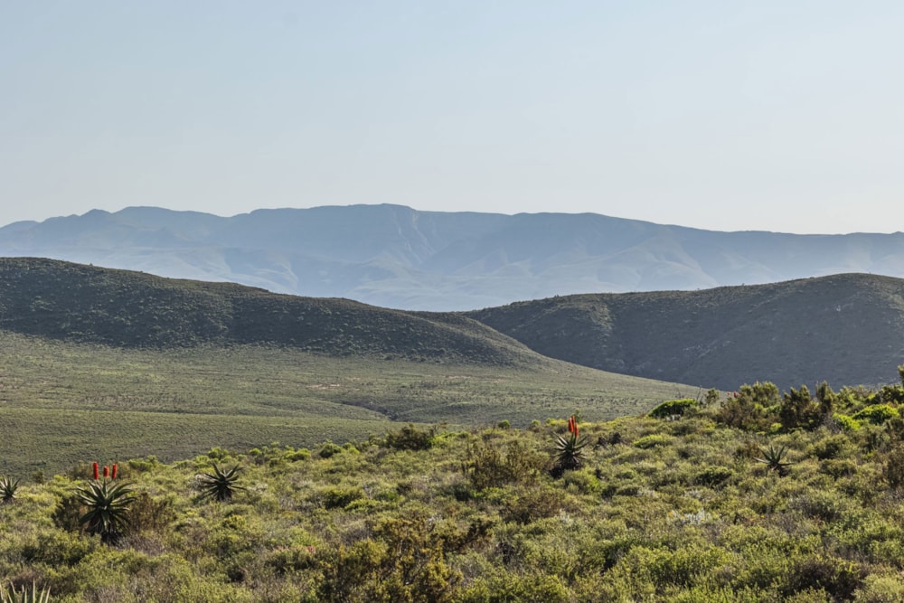 Lifestyle property sold in Riversdale Rural - 1OU1667130 Lifestyle property sold in Riversdale Rural - 1OU1667130