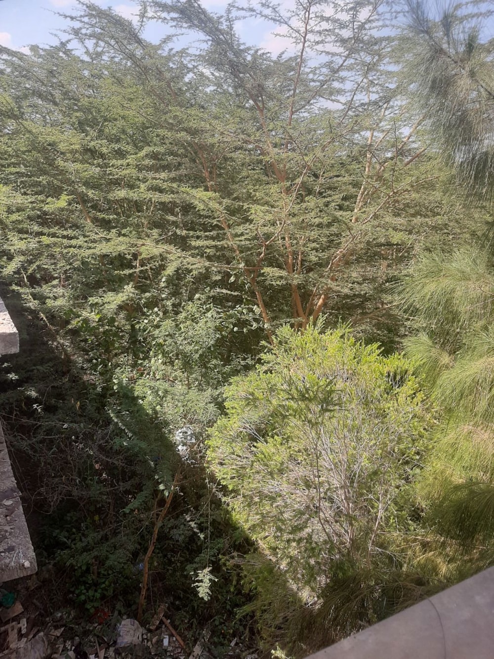 Residential vacant land for sale in Athi River, Kenya - 3KE1664671