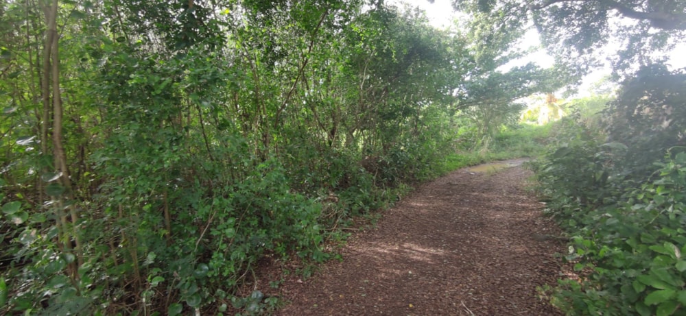 Vacant land for sale in St Antoine, Mauritius - MPR1663802