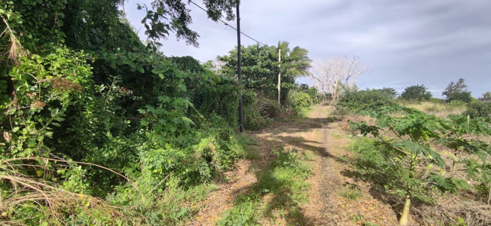 Vacant land for sale in St Antoine, Mauritius - MPR1663802