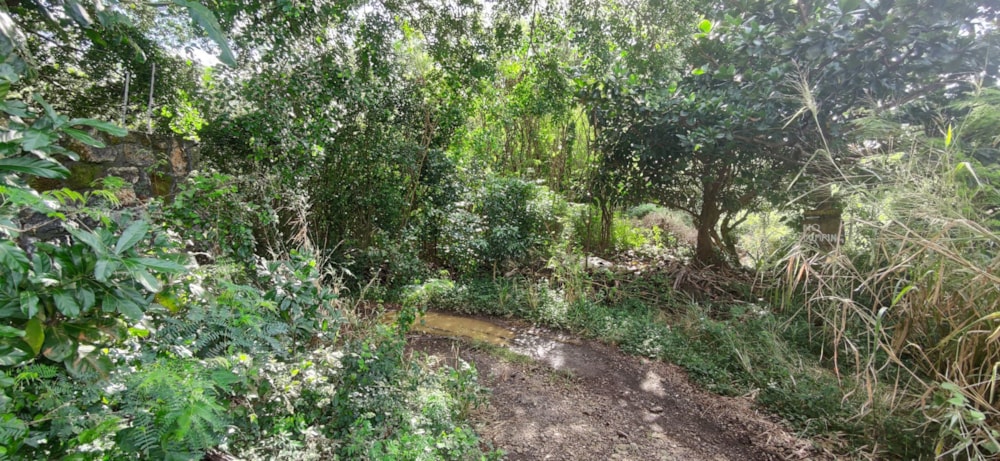 Vacant land for sale in St Antoine, Mauritius - MPR1663802