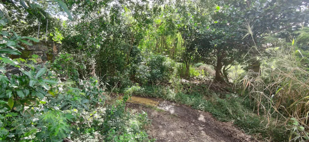 Vacant land for sale in St Antoine, Mauritius - MPR1663802 Vacant land for sale in St Antoine, Mauritius - MPR1663802