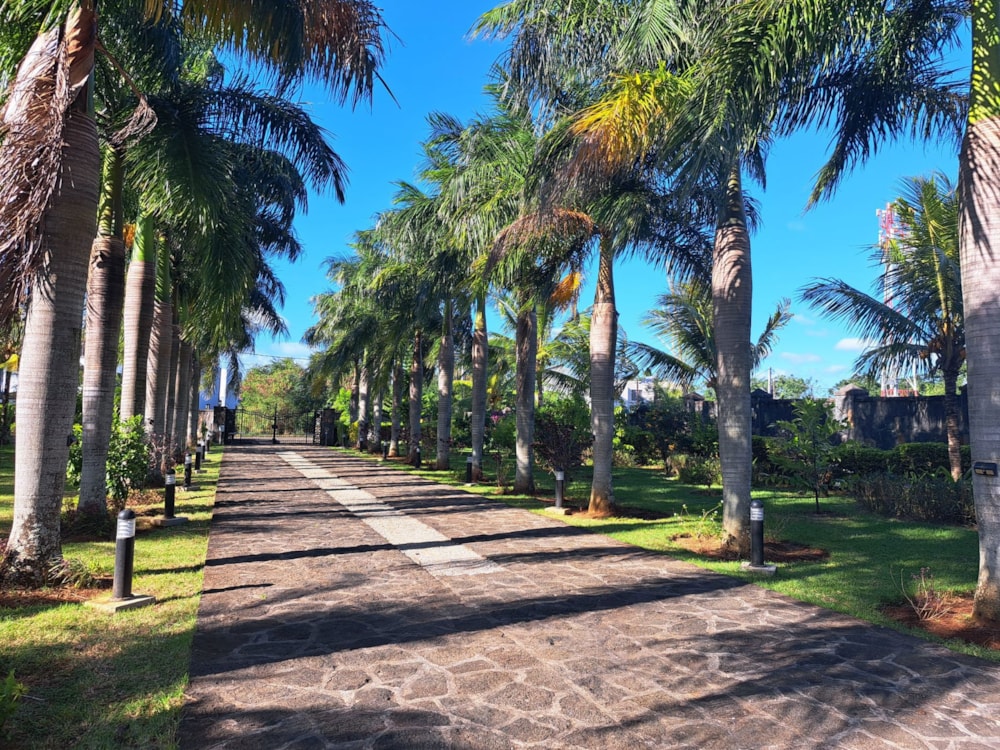 House for sale in Trou aux Biches, Mauritius - MPR1663905