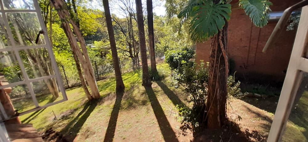 House for sale in Arbor Park, Tzaneen - 1TA1664165 House for sale in Arbor Park, Tzaneen - 1TA1664165