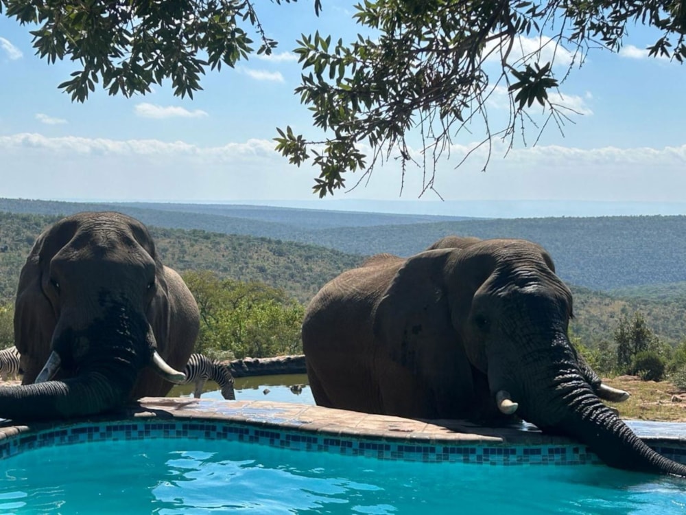 Game lodge sold in Welgevonden - 1ER1664060 Game lodge sold in Welgevonden - 1ER1664060