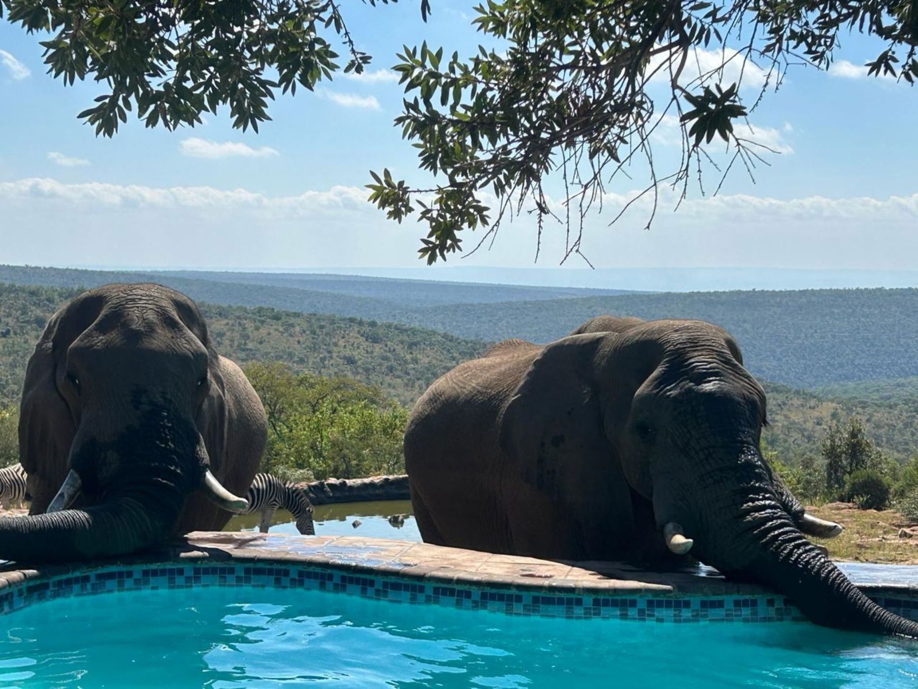 Game lodge sold in Welgevonden - 1ER1664059