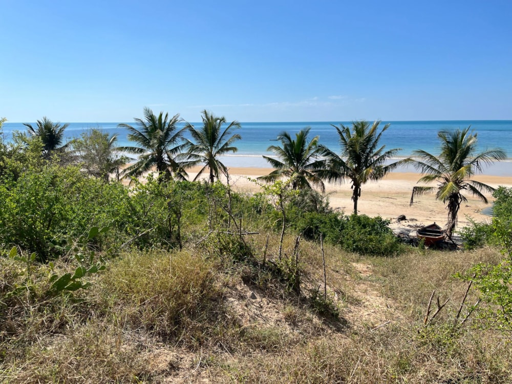 Vacant land for investment in Inhassoro, Mozambique - 3MQ1664221