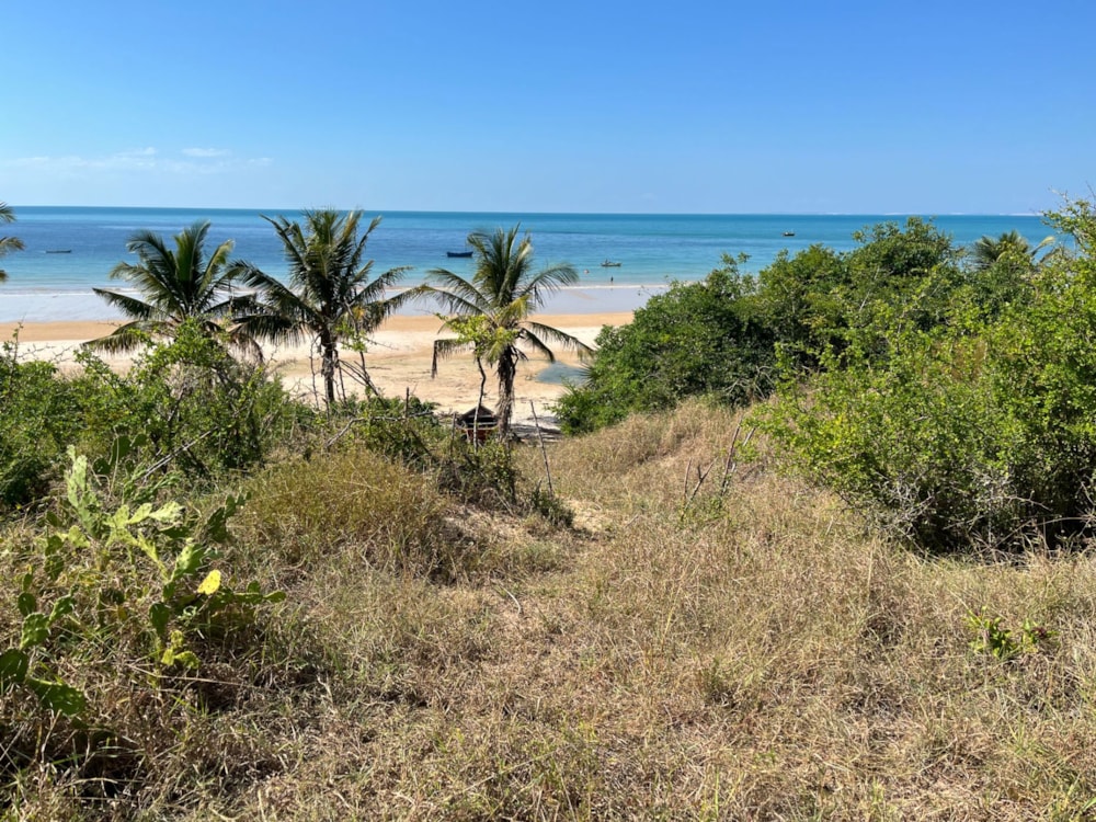 Vacant land for investment in Inhassoro, Mozambique - 3MQ1664221