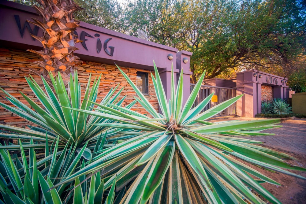 Apartment sold in Hoedspruit - 1HS1664423 Apartment sold in Hoedspruit - 1HS1664423