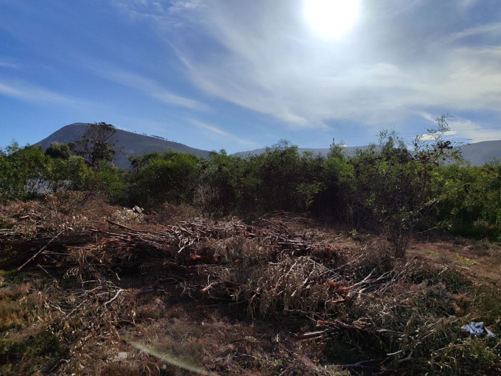 Vacant land for sale in Franskraal - 1SW1664604