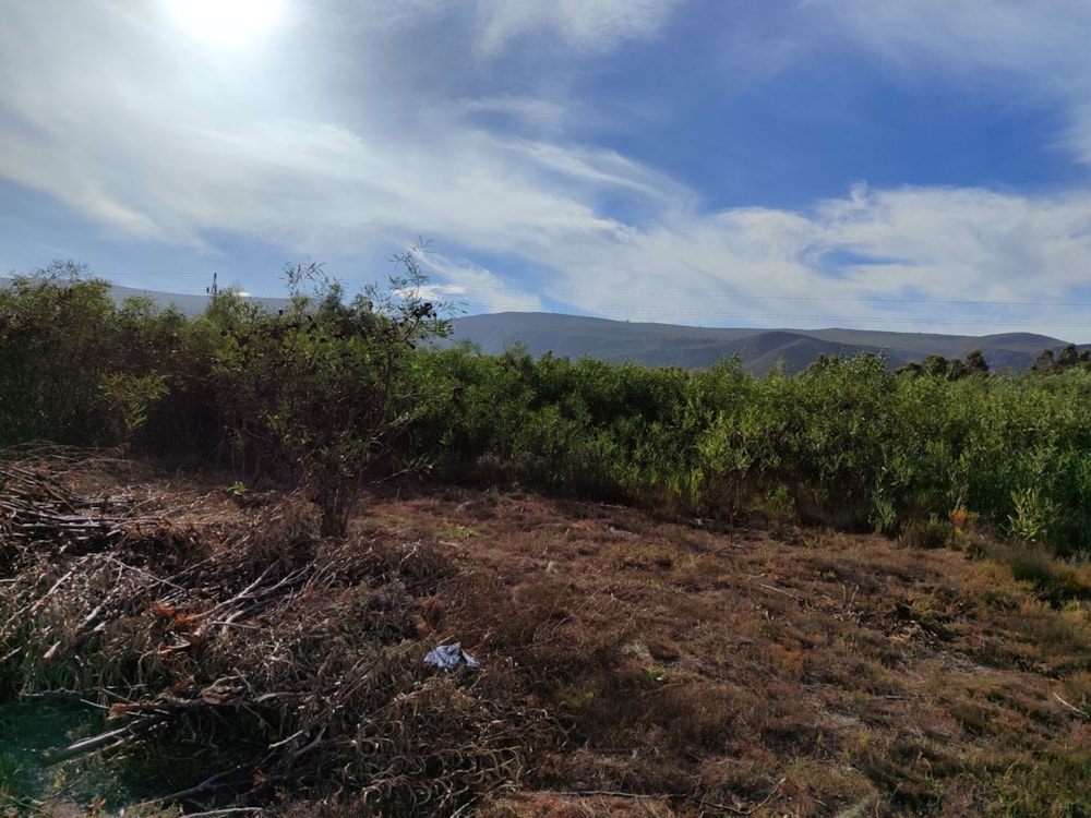 Vacant land for sale in Franskraal - 1SW1664604