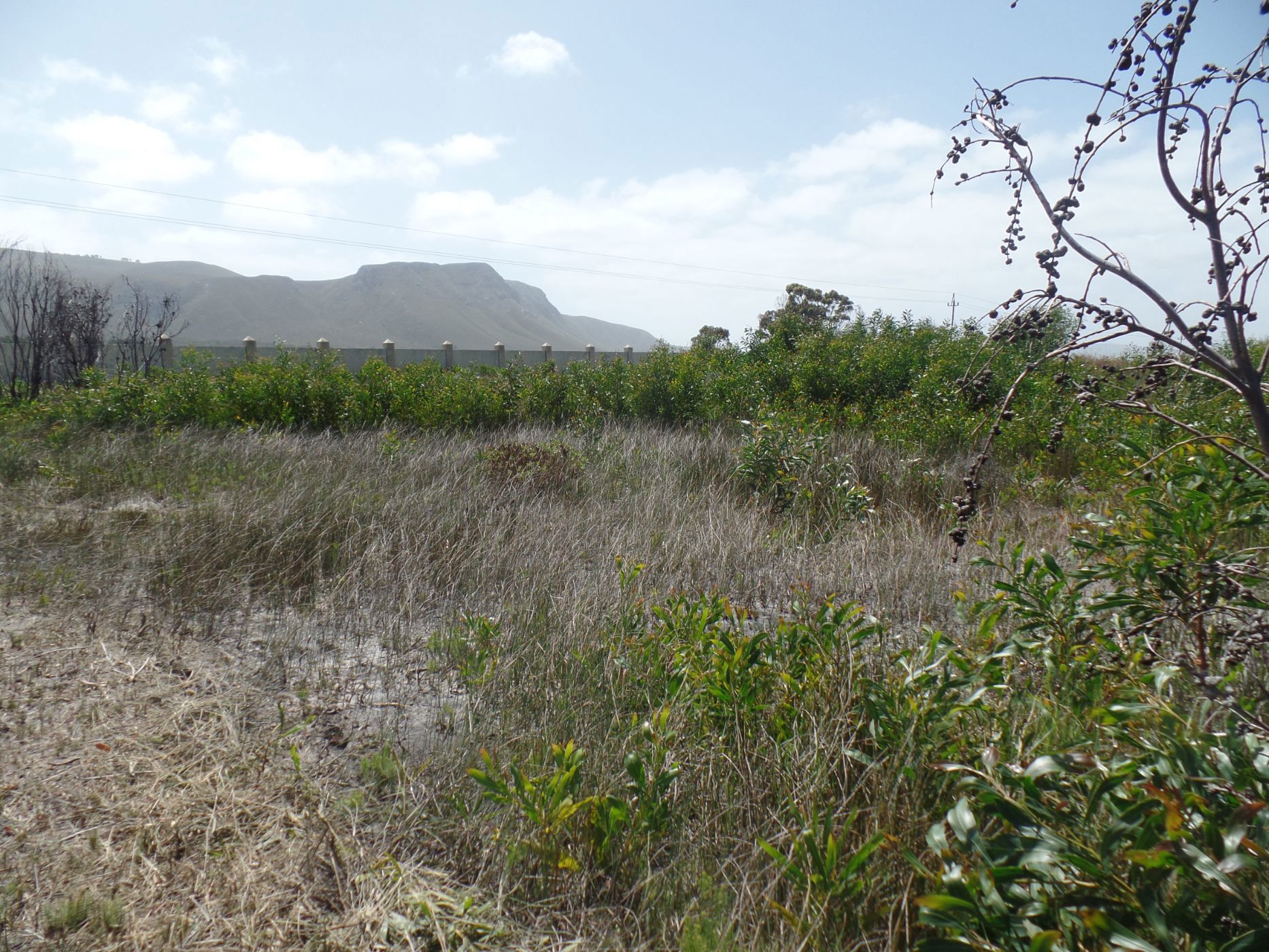 Vacant land for sale in Franskraal - 1SW1664604