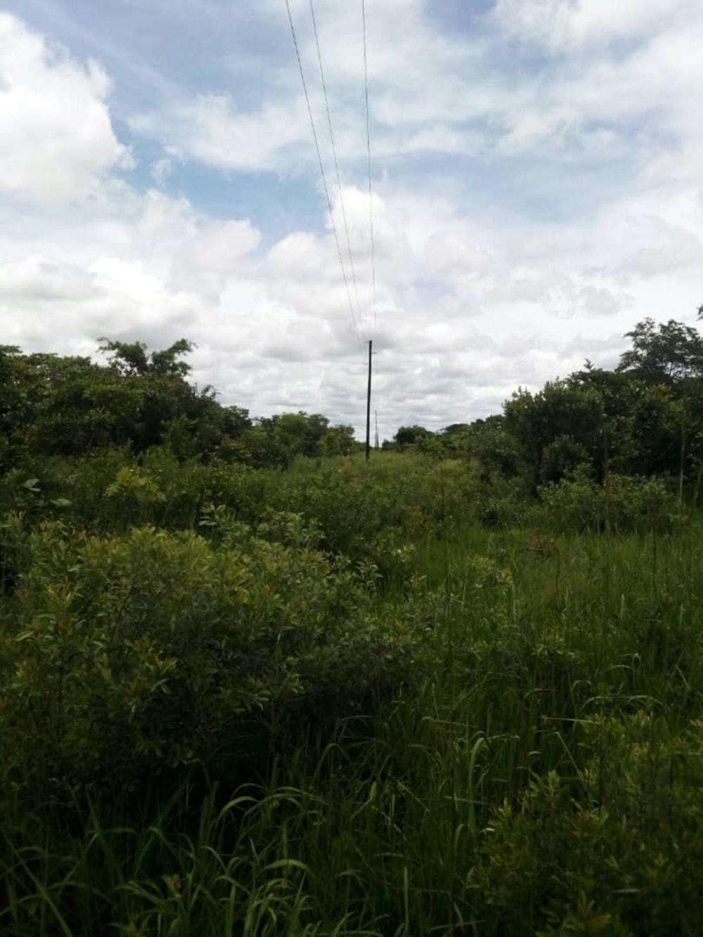 Mixed use farm for sale in Serenje, Central Province, Zambia - 3ZA1664819