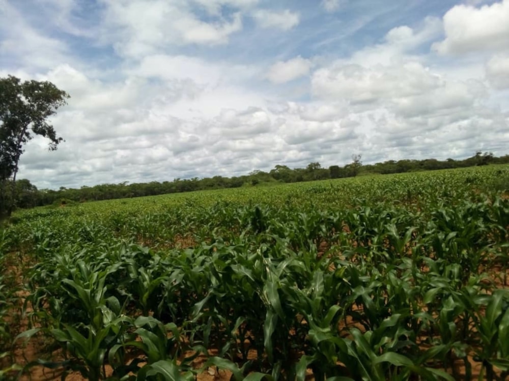 Mixed use farm for sale in Serenje, Central Province, Zambia - 3ZA1664819