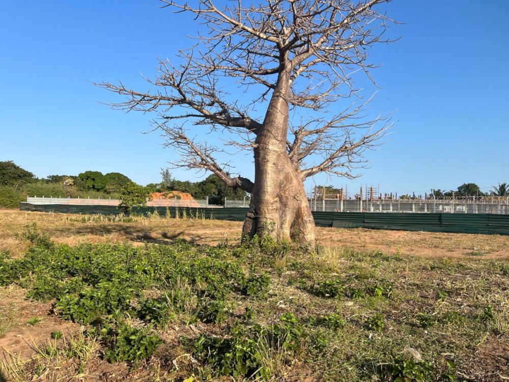 Vacant land for investment in Pemba, Cabo Delgado, Mozambique - 3MQ1664998