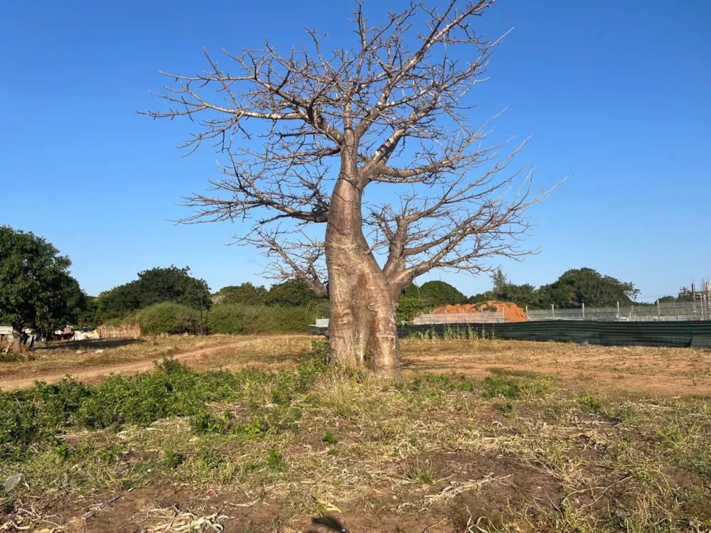 Vacant land for investment in Pemba, Cabo Delgado, Mozambique - 3MQ1664998