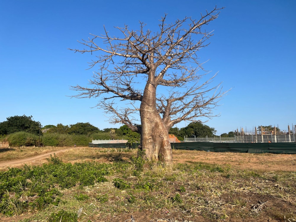 Vacant land for investment in Pemba, Cabo Delgado, Mozambique - 3MQ1664998