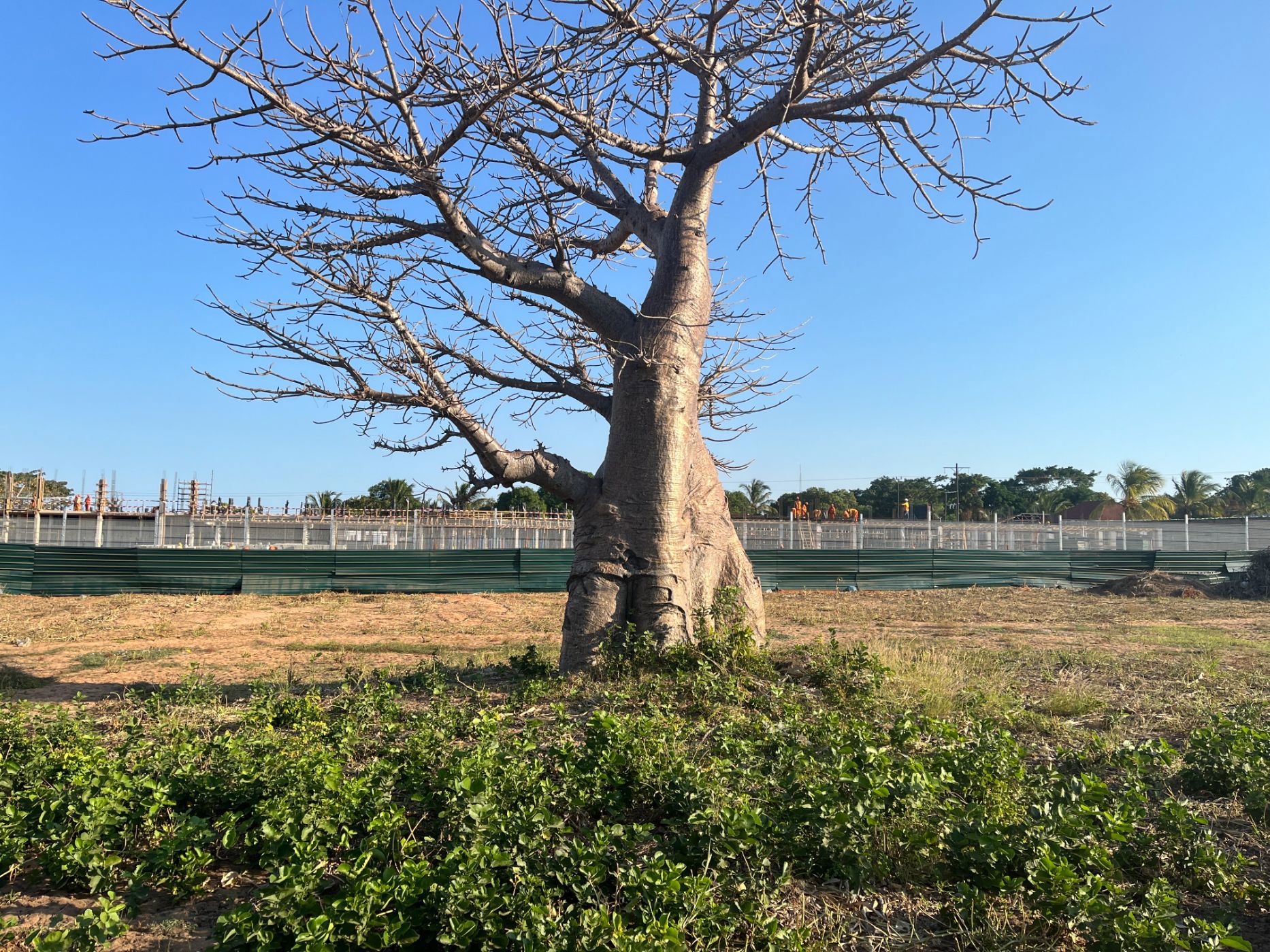 Vacant land for investment in Pemba, Cabo Delgado, Mozambique - 3MQ1664998