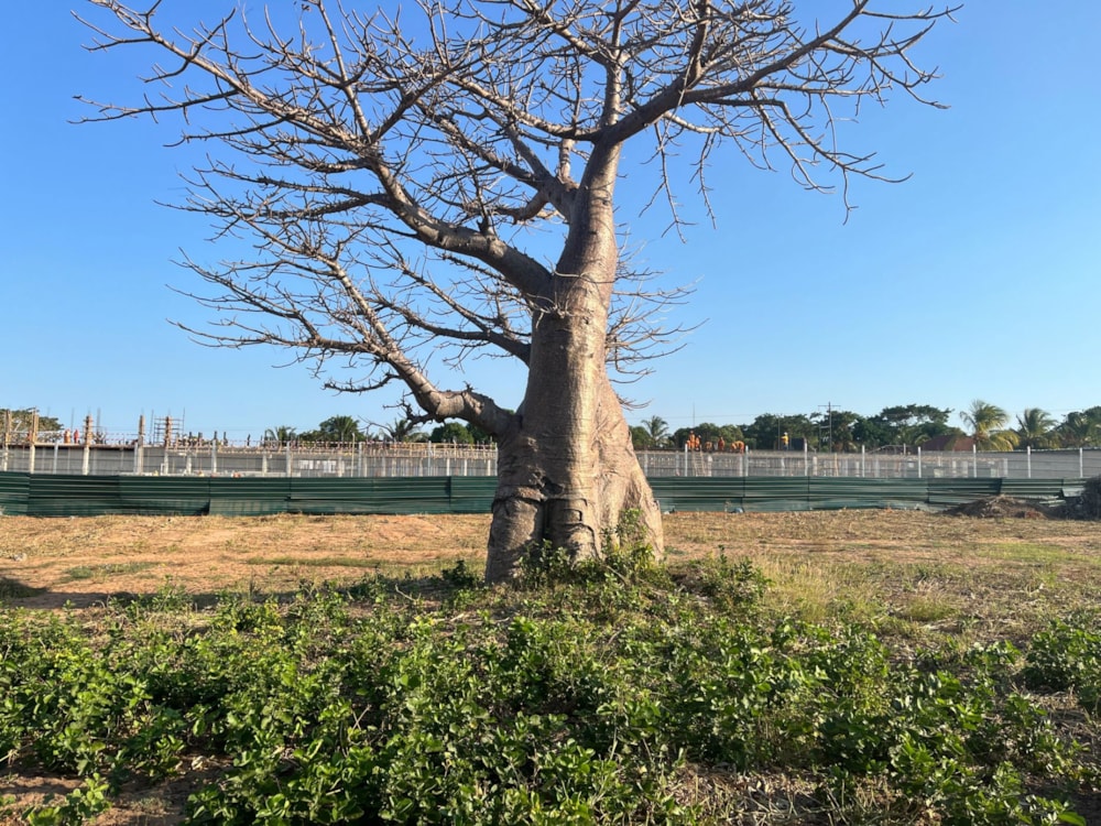 Vacant land for investment in Pemba, Cabo Delgado, Mozambique - 3MQ1664998