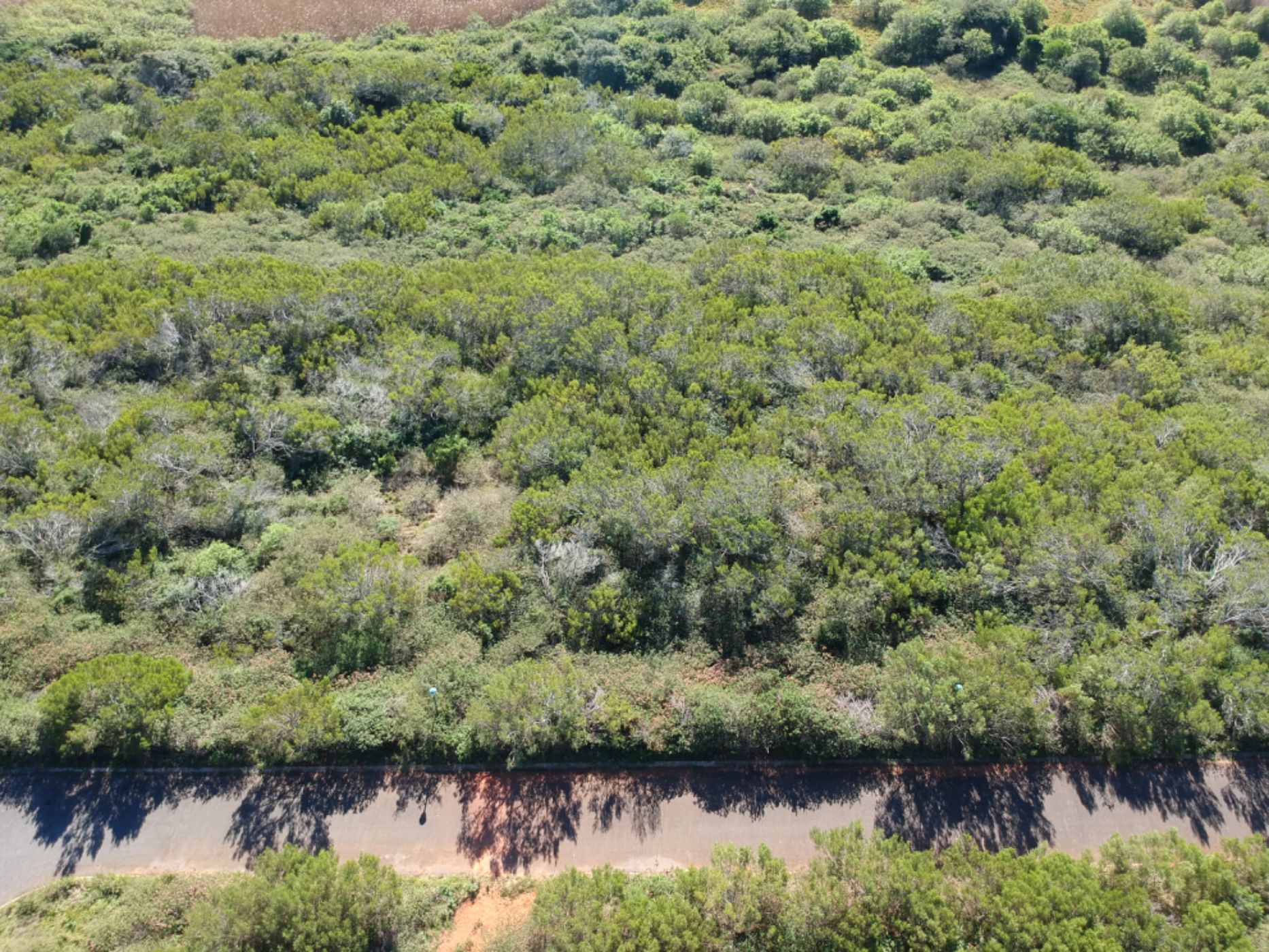 Vacant land for sale in Emerald Heights - 1PF1665063