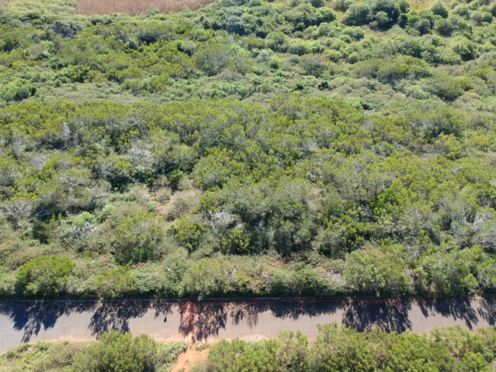 Vacant land for sale in Emerald Heights - 1PF1665063