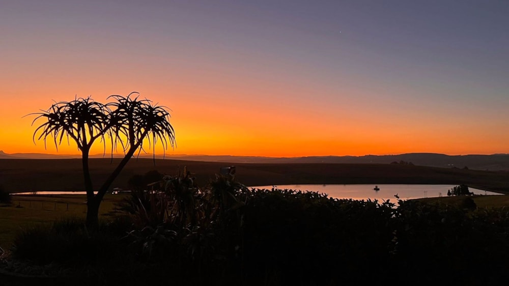 Vacant land for sale in Hilton, KwaZulu-Natal - 1PM1667720