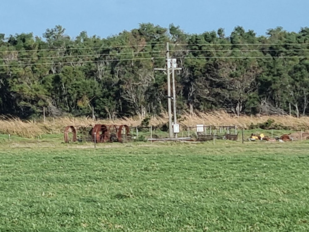 Smallholding for sale in St Francis Bay Rural - 1SA1665321 Smallholding for sale in St Francis Bay Rural - 1SA1665321