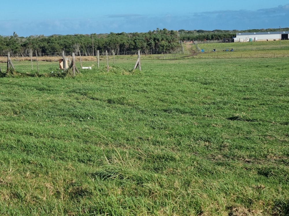 Smallholding for sale in St Francis Bay Rural - 1SA1665321 Smallholding for sale in St Francis Bay Rural - 1SA1665321