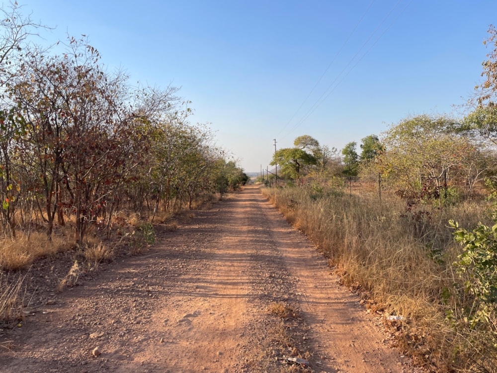 Residential vacant land for sale in Shimabala, Lusaka Province, Zambia - 3ZA1665607 Residential vacant land for sale in Shimabala, Lusaka Province, Zambia - 3ZA1665607
